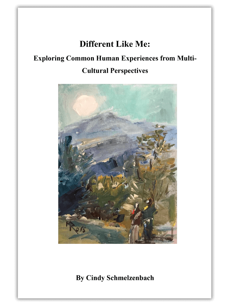 Different Like Me - textbooks for cultural competence coaching